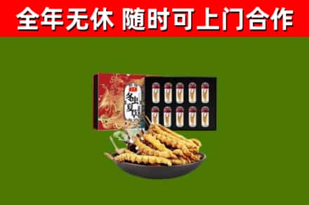 邕宁回收冬虫夏草价格